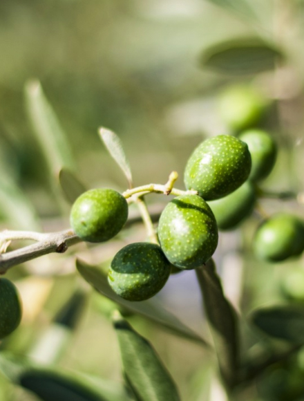 九州ku酷游·(中国集团)官方网站