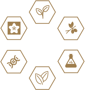 九州ku酷游·(中国集团)官方网站