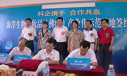 九州ku酷游·(中国集团)官方网站