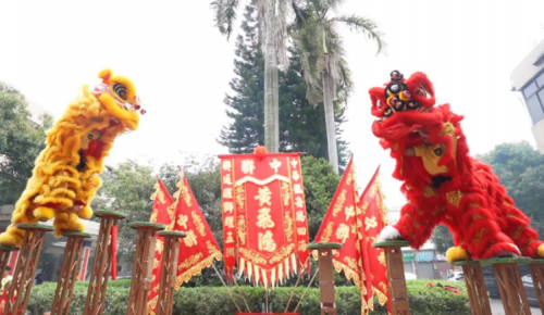 龙腾狮跃，，，，共铸绚烂未来！